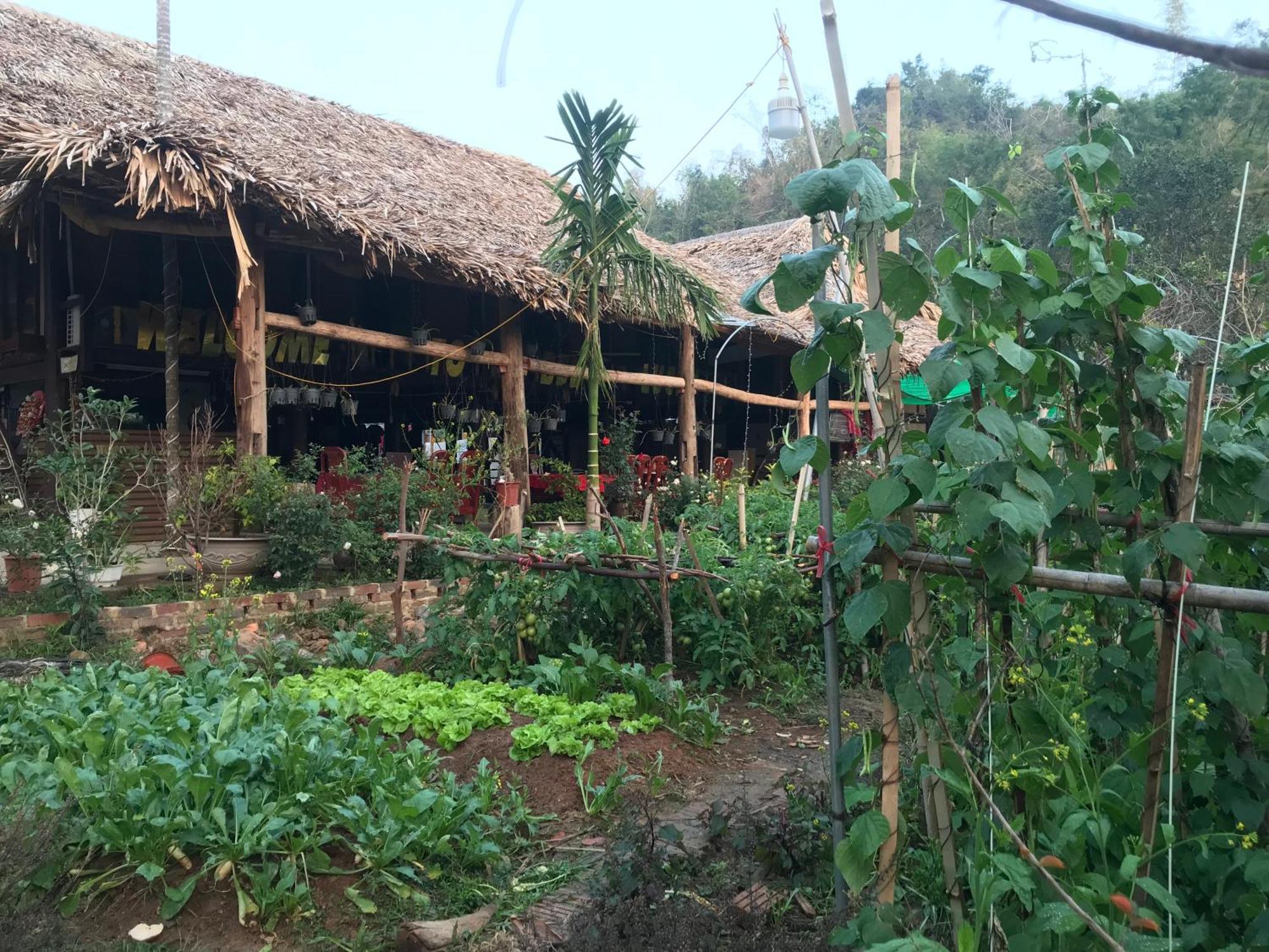 Bee Lucky Homestay Hien Hao Eksteriør billede