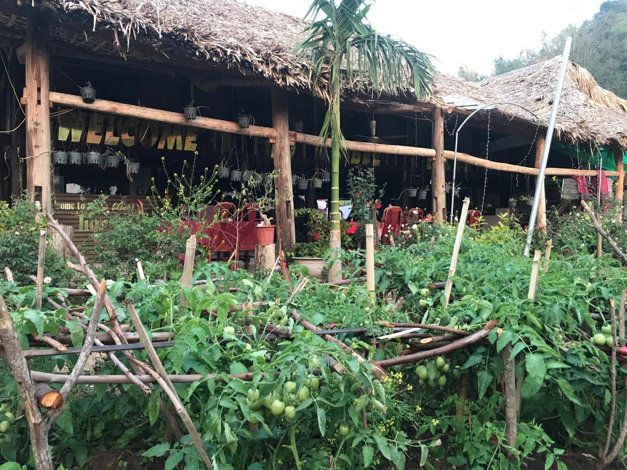 Bee Lucky Homestay Hien Hao Eksteriør billede
