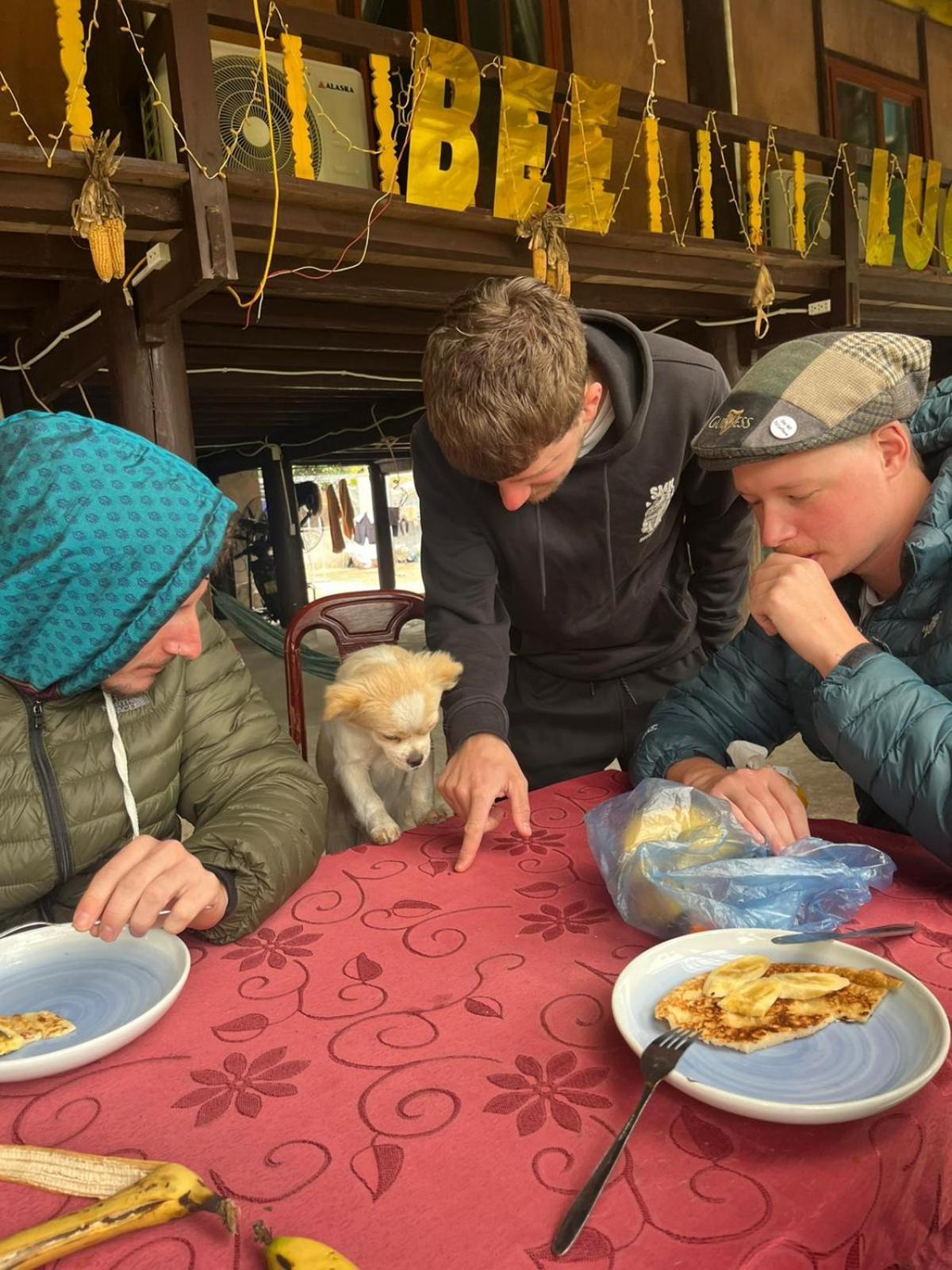 Bee Lucky Homestay Hien Hao Eksteriør billede